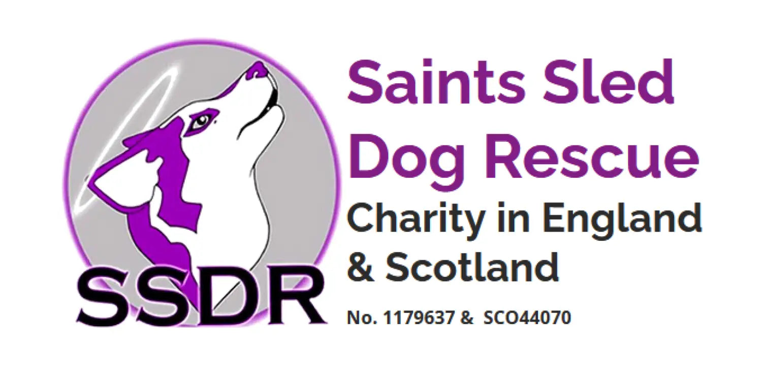 ssdr logo.png