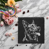 Belgian Malinois Engraved Slate Coaster - Square