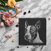 Bull Terrier Engraved Slate Coaster - Square