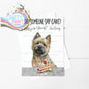 Did someone say cake? Cairn Terrier A5 Birthday Card