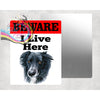 Beware Border Collie Lives Here Aluminium Gate Sign