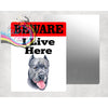 Beware Cane Corso Lives Here Aluminium Gate Sign - Signage