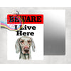 Beware Weimaraner Lives Here Aluminium Gate Sign - Signage