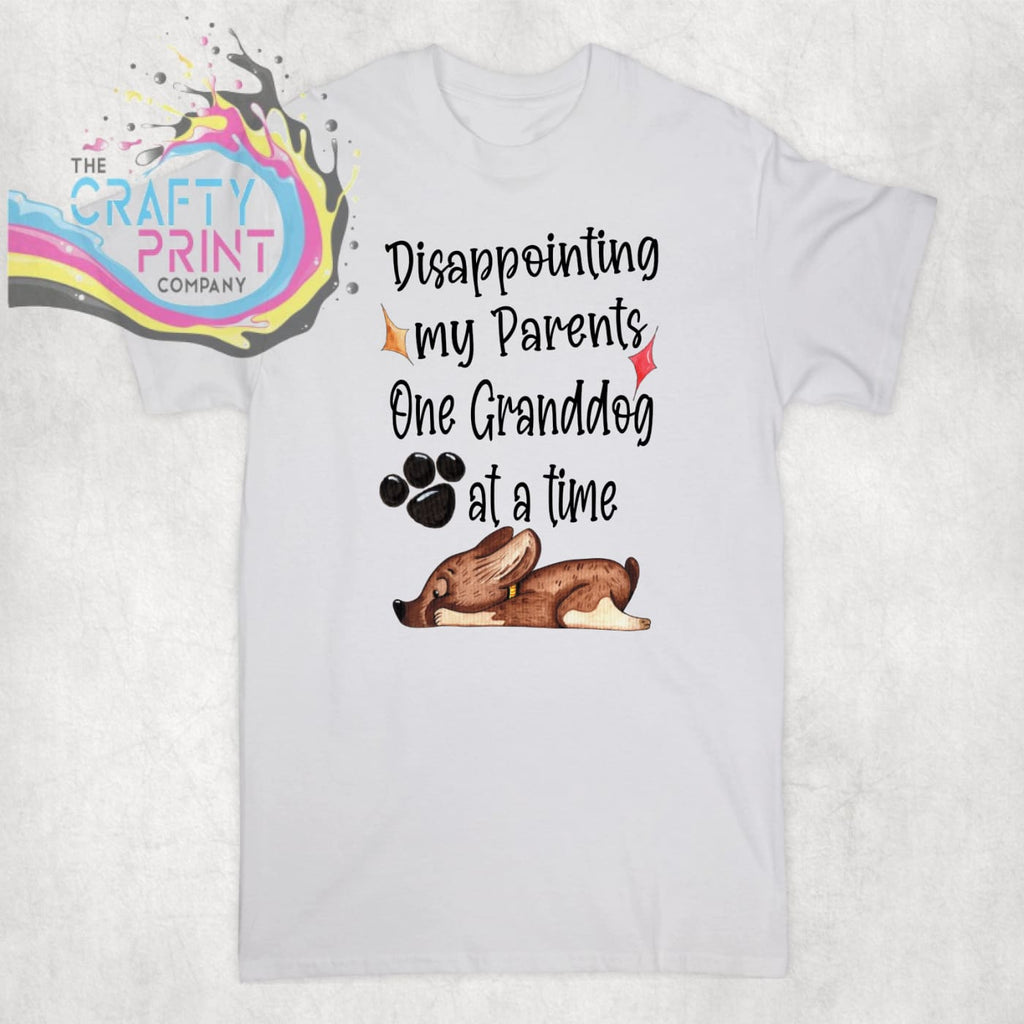 Disappointing my parents one Granddog at a time T-shirt