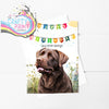 Happy Birthday Bunting Chocolate Labrador A5 Card