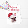 Merry Christmas French Bulldog A5 Card - Greeting & Note